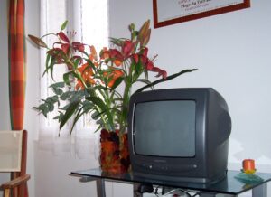 2009 - 11 - Vinca : pâte de verre sur verre