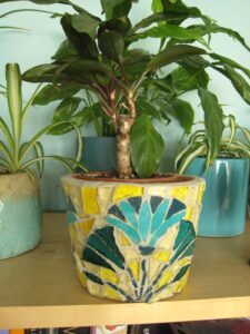 2021-07 Vinca ; verre sur cache-pot, motif égyptisant