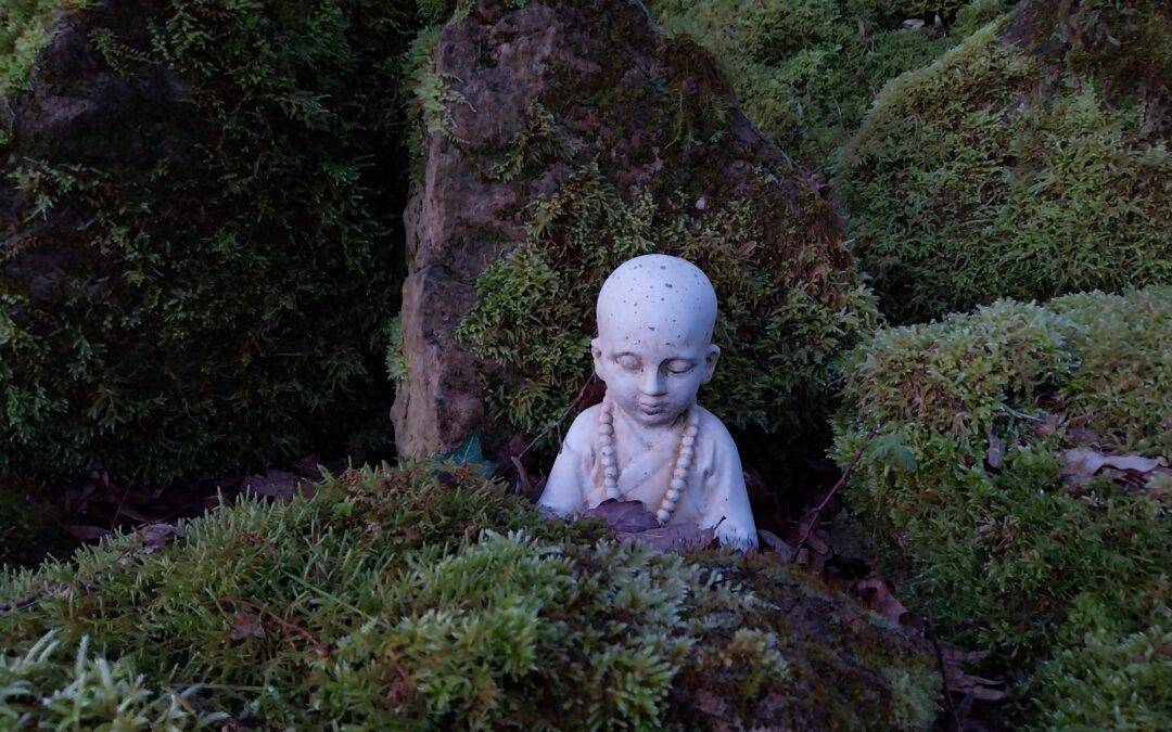 Stage Qigong et Epée 15 novembre