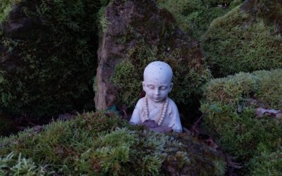 Stage Qigong et Epée 15 novembre